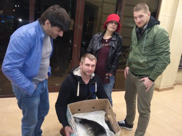 анохина в горшке