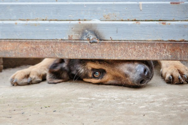 untitled-14-of-50-600x400