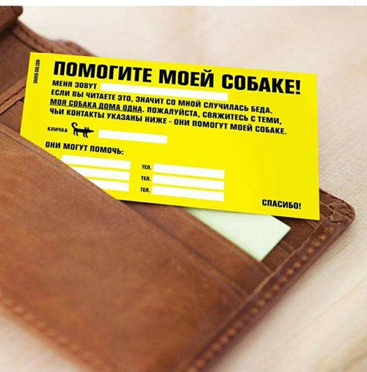 помогите моей собаке