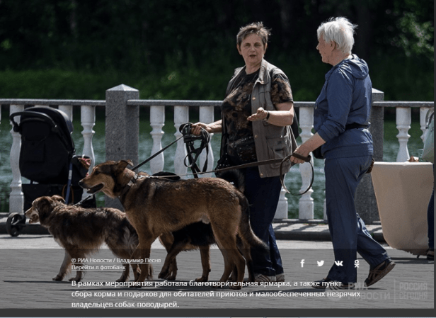 дьякова фест. изм 2