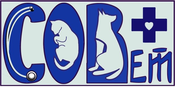 соц ветеринар