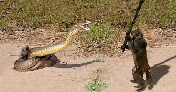 1327893e6e11c8fcb2239def4b4518a0