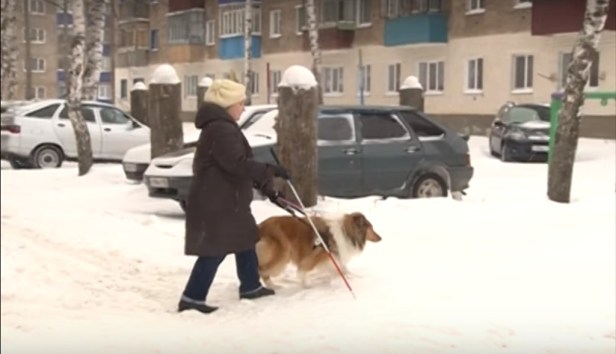 нов год анна александрова прогулка