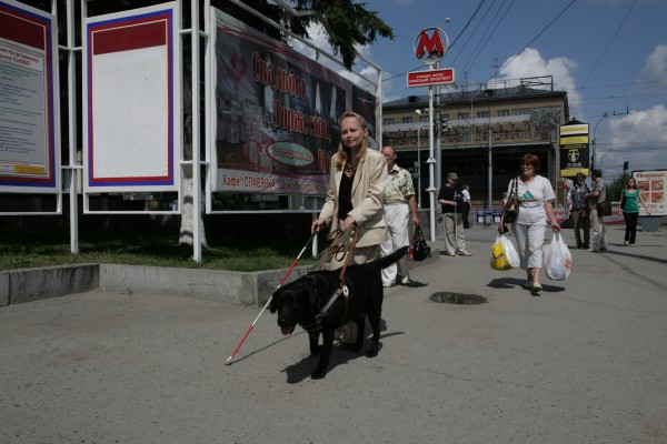 нов год бурмистрова осн