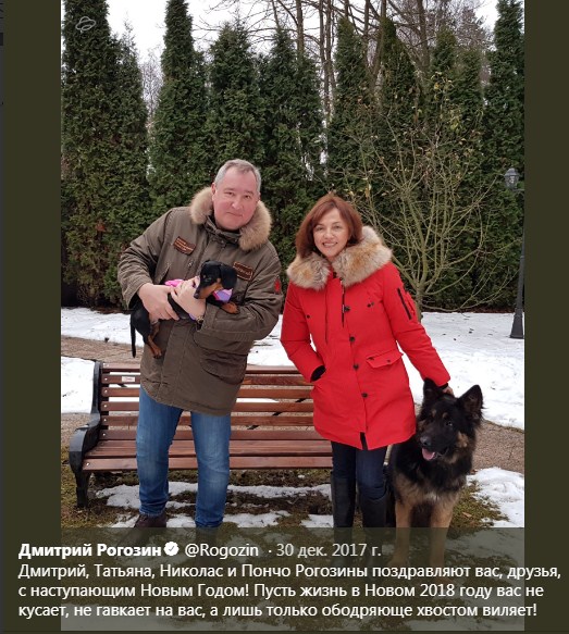 рогозин с таксой нов год