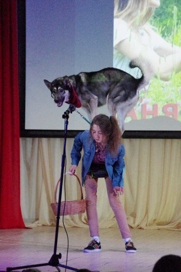 зоофест машенкова на спине