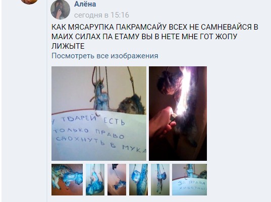 живодерка алоис 0 исх. сообщение