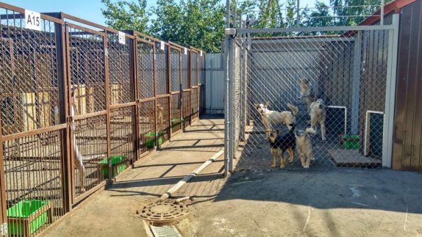 img_20180801_125210_hdr-768x432