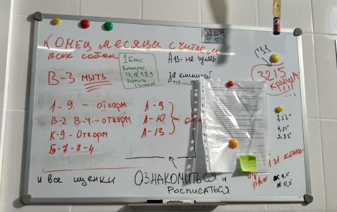 img_20180801_125555_hdr-477x300